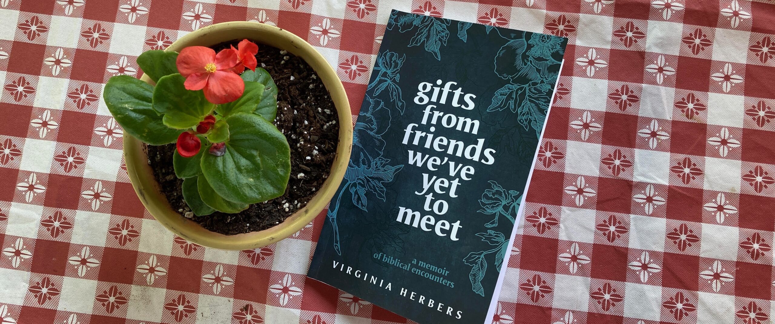 Book Review: “Gifts from Friends We’ve Yet to Meet” by Virginia Herbers 